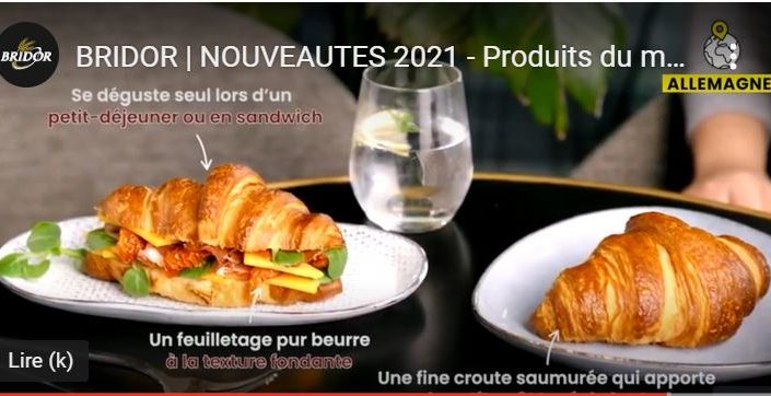 Brioche Dorée BRIDOR
